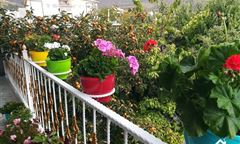  اقامتگاه شایان سی‌سخت