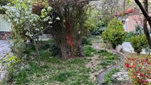 ویلا استخردار تابستانی با فضای سبز عالی در اغشت-2