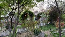 ویلا استخردار تابستانی با فضای سبز عالی در اغشت-10