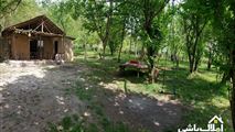 رزرو کلبه جنگلی در روستای حلیمه جان رودبار-8