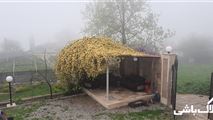 اجاره ویلا جنگلی در زیرآب سرخکلاتپه سوادکوه-20
