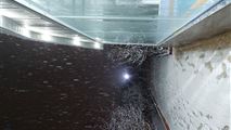 باغ ویلا استخردار سرپوشیده با آب گرم -15
