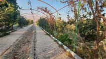 اجاره باغ ویلا در شاهین شهر-3