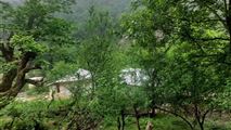 ویلای جنگلی در جاده ماسوله-15