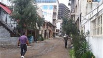 تک خواب ساحلی پوریا-16