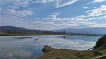 کلبه محمدنژاد-8