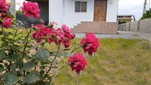 اجاره ویلا در نور خیابان آب پری-1
