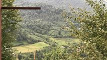  کلبه جنگلی درقلعه رودخان-12