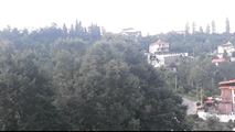 جنگلی دربست دوخوابه-5