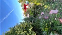 ویلا دربست نوساز سه خواب استخر دار در رامسر-36