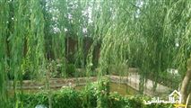 باغ در شیراز-2