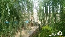 باغ در شیراز-3