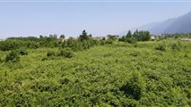 گُلدن ویلا استخردار با ویو کامل جنگل نوشهر-8