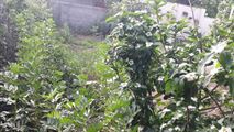 ویلا ۱۲۰متری بسیار نوساز جنگلی با حیاط ۵۰۰متری-4