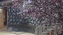 باغ ویلا در زیار اصفهان-5