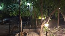 اجاره باغ در محمدشهر-6