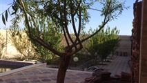 اجاره باغ ویلا استخر دار در ملارد شهریار-8