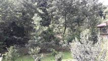 اجاره ویلا جنگلی کناررودخانه اسالم-14
