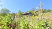 کلبه جنگلی در شیرگاه با ویو زیبا-2