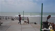  سوئیت مبله دو نفره نزدیک ساحل بوشهر-21