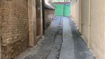 خانه ویلایی پای کوه درکه تهران-12