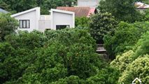 ویلا باغ استخردار سماموس در رامسر-3