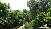 ویلا باغ استخردار سماموس در رامسر-6