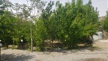 ویلا استخر دار در کردان-17