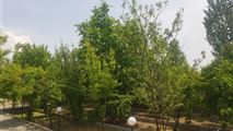 ویلا استخر دار در کردان-19