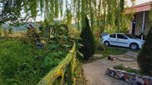 ویلا باغ آرامش با منظره به جنگل ماسال-10