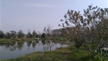 باغ ویلا با دریاچه سرخرود-20