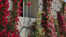 باغ ویلای فدک با استخر و آلاچیق در شیراز -15