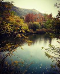 اجاره روزانه ویلا، سوئیت و آپارتمان مبله در کردان | املاک باشی