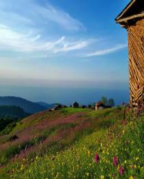 اجاره روزانه ویلا، سوئیت و آپارتمان مبله در رامسر | املاک باشی